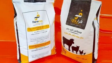 راهحل بومی برای چالش تغذیه دام و طیور با فناورینانو راهحل بومی برای چالش تغذیه دام و طیور با فناورینانو