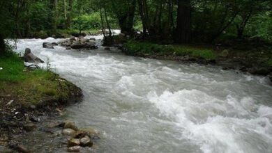 بررسی مدیریت آلودگی فلزات در مصب‌ رودخانه‌ها