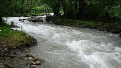 ایران سی پنل