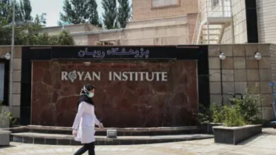 برگزاری مدرسه تابستانی بین‌المللی پژوهشگاه رویان با موضوع هوش مصنوعی
