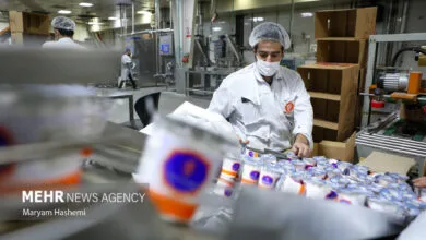 اتاق فکر ملی امنیت غذایی با مشارکت دانشبنیانها تشکیل میشود